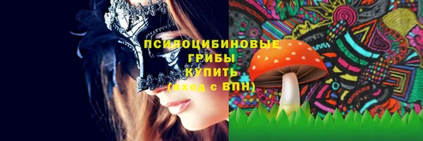 бутират Богородицк
