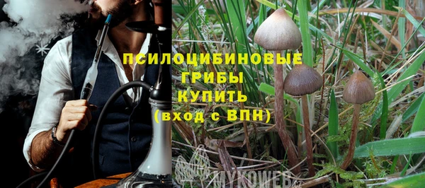 бутират Богородицк