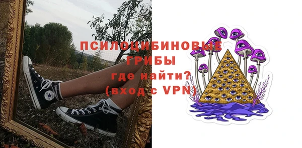 прущая мука Богородск
