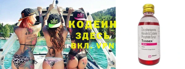 трава Белокуриха