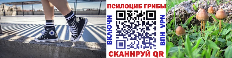 Галлюциногенные грибы Cubensis Карабаново